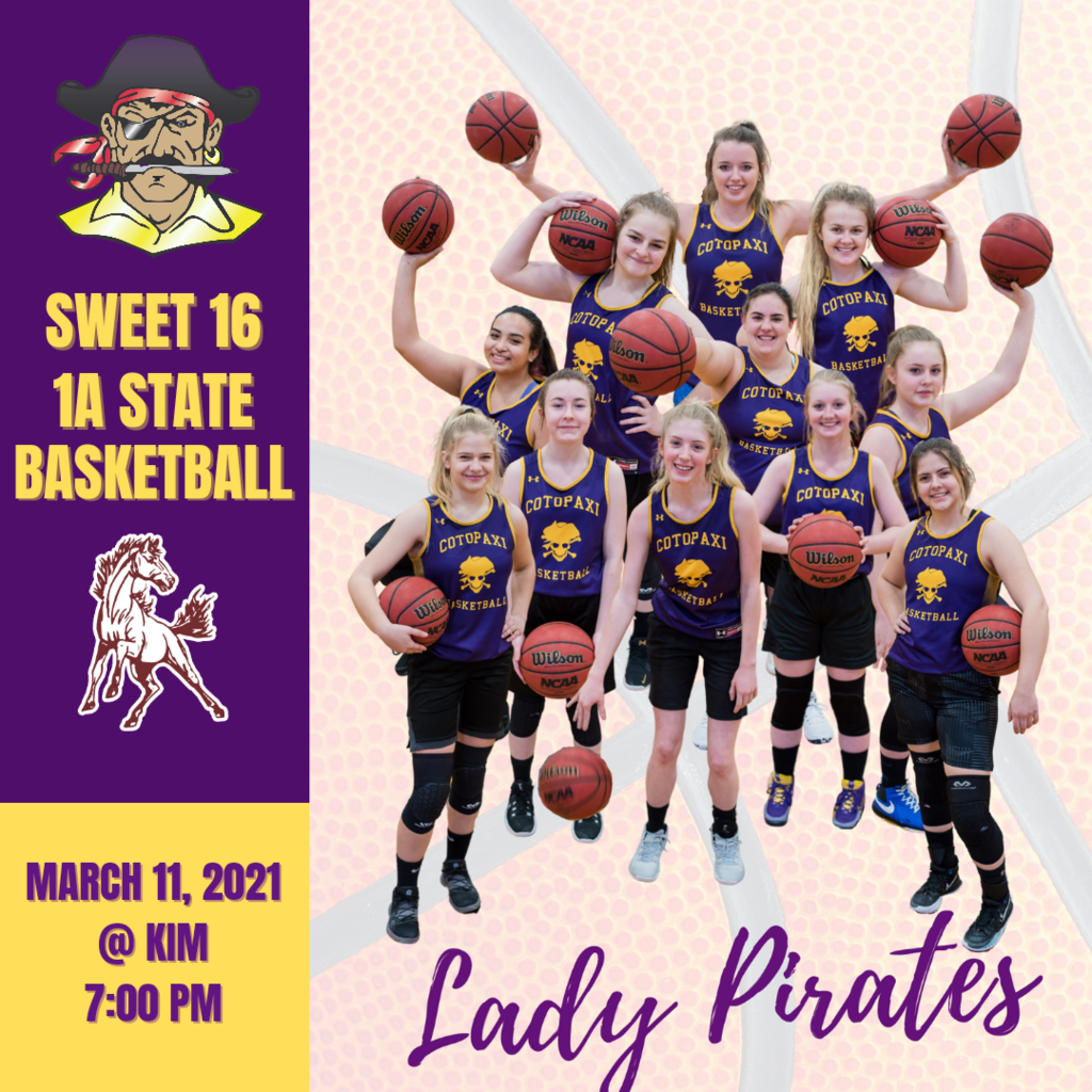 Lady pirates group pictureamd game details. 