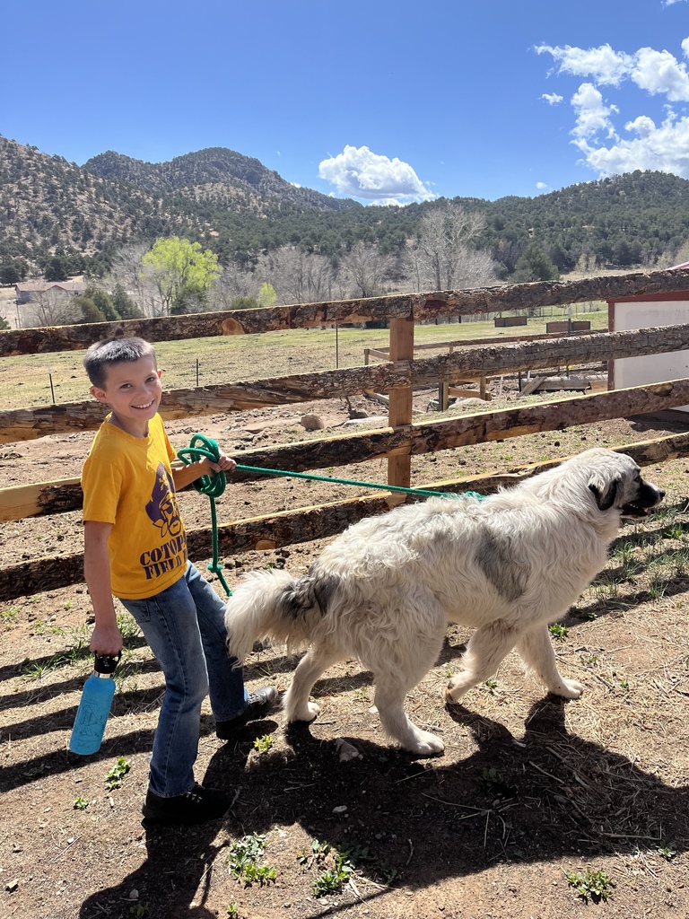 Walking Beau around the ranch.