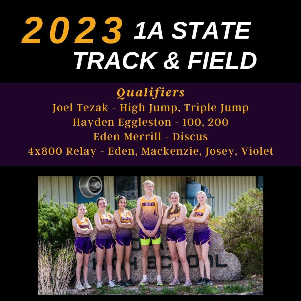 State Track Qualifiers