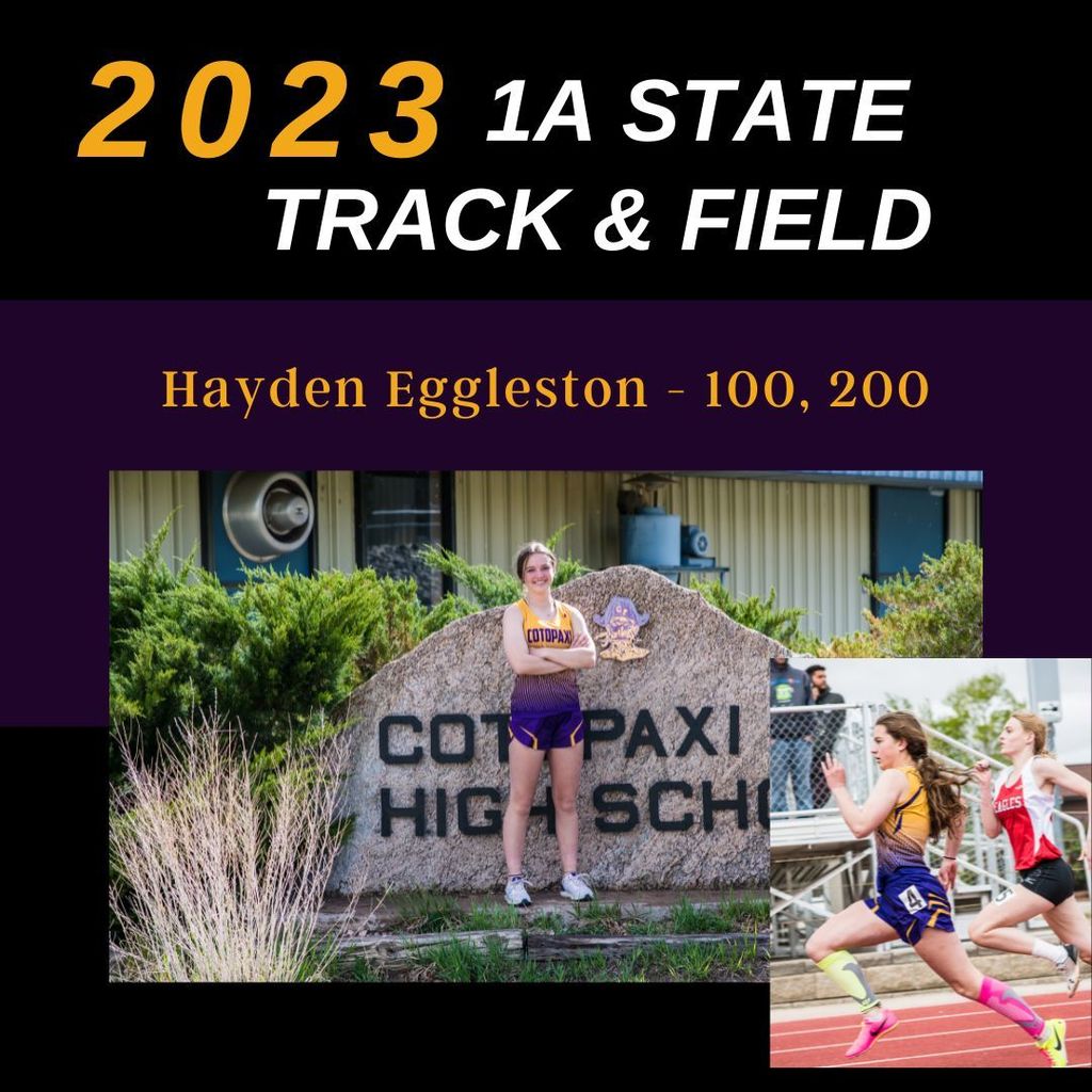 State Track Qualifiers